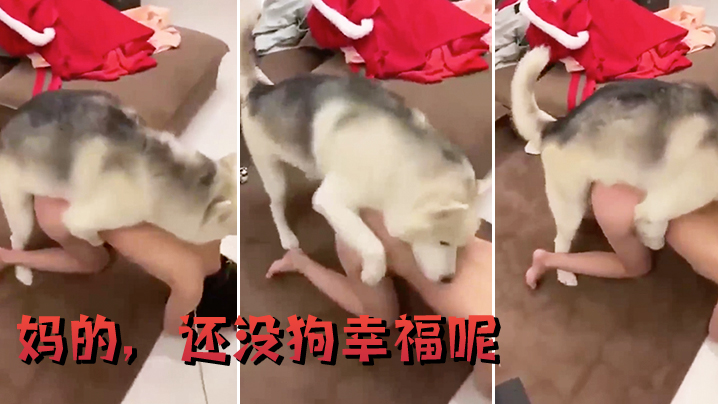 妈的还没狗幸福呢.