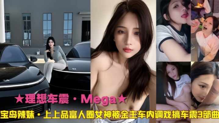 理想车震Mega宝岛辣妹上上品富人圈女神被金主车.内调戏搞车震3部曲